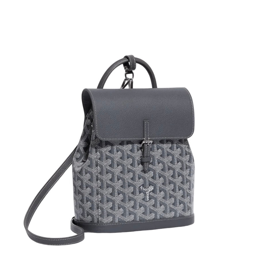 Goyard Alpin Mini Backpack Grey